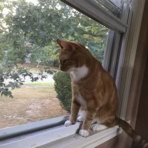 Meet your Posher, Joanne